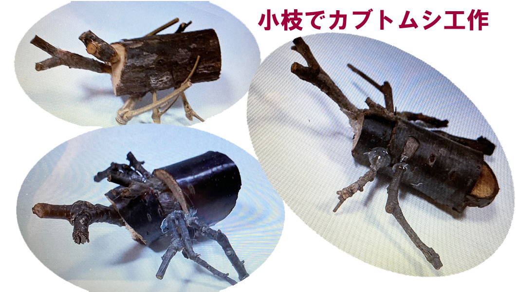小枝でカブトムシ工作